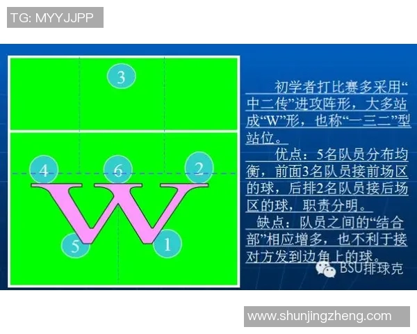 西安排球队的进攻策略揭秘：排球战术深度解析与实战应用
