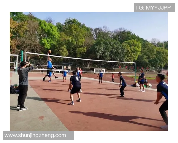 赵伟独家分享排球心得与技巧助你提升竞技水平与团队协作能力