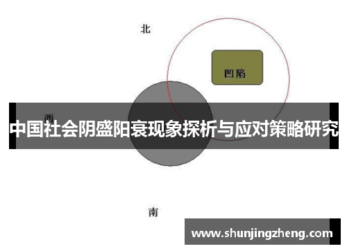 中国社会阴盛阳衰现象探析与应对策略研究